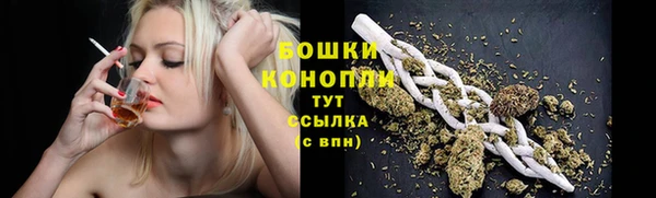 гидра Мегион