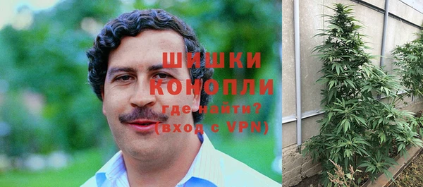 дмт Медногорск