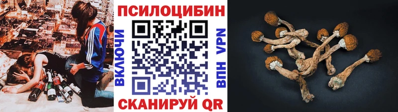Псилоцибиновые грибы мухоморы Новоржев
