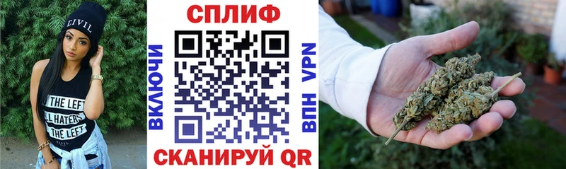 Шишки марихуана SATIVA & INDICA  мега зеркало  Новоржев  купить  сайты 